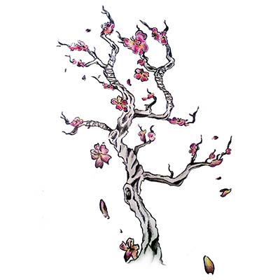 Cherry Blossom With Fan Design Water Transfer Temporary Tattoo(fake Tattoo) Stickers NO.11088